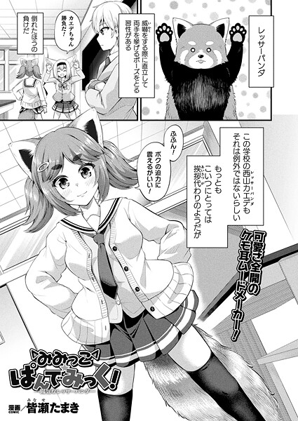 みみっこ・ぱんでみっく！（単話） 封面