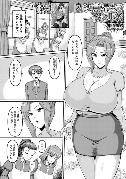 肉欲貴婦人は夜に咲く（単話） 封面