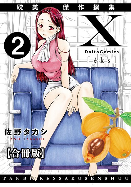 X耽美傑作撰集【合冊版】 封面