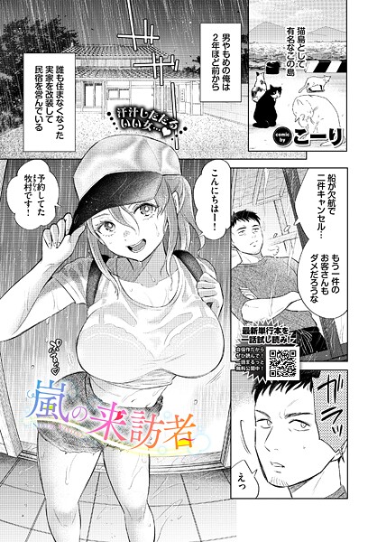 嵐の来訪者（単話） 封面