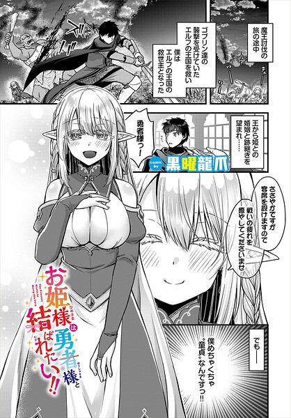 お姫様は勇者様と結ばれたい！！（単話） 封面