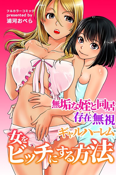 女をビッチにする方法〜無垢な姪と同居 存在無視 ギャルハーレム〜 封面