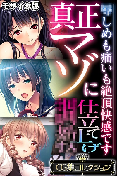 真正マゾに仕立て上げ●● 〜●しめも痛いも絶頂快感です〜【CG集コレクション】 モザイク版 封面