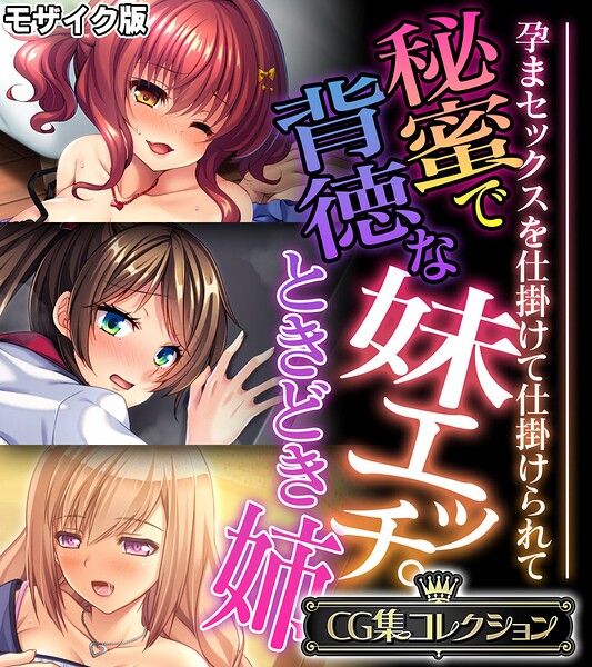 秘蜜で背徳な妹エッチ。ときどき姉 〜孕まセックスを仕掛けて仕掛けられて〜【CG集コレクション】 モザイク版 封面