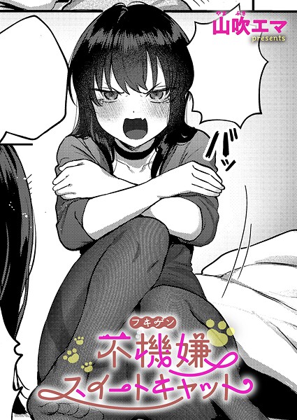 不機嫌スイートキャット（単話） 封面
