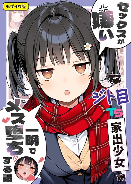 セックスが嫌いなジト目TS家出少女が一晩でメス堕ちする話 モザイク版 封面