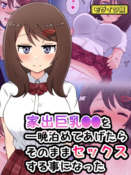 家出巨乳●●を一晩泊めてあげたらそのままセックスする事になった モザイク版 封面