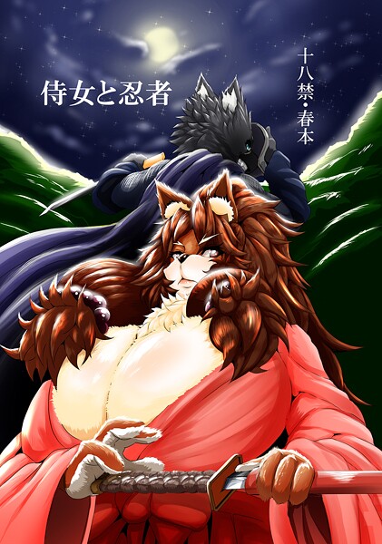 侍女と忍者 封面